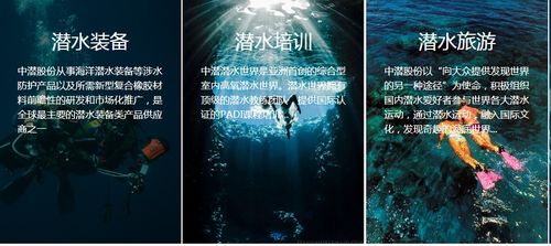 潛水公司加速趕頂，終須一別 從溫州幫現(xiàn)象看國(guó)內(nèi)旅游業(yè)務(wù)轉(zhuǎn)型